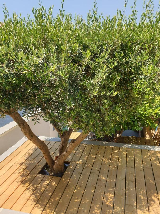 Les Terrasses Des Anthenors Bed and Breakfast Ensues-la-Redonne Eksteriør billede
